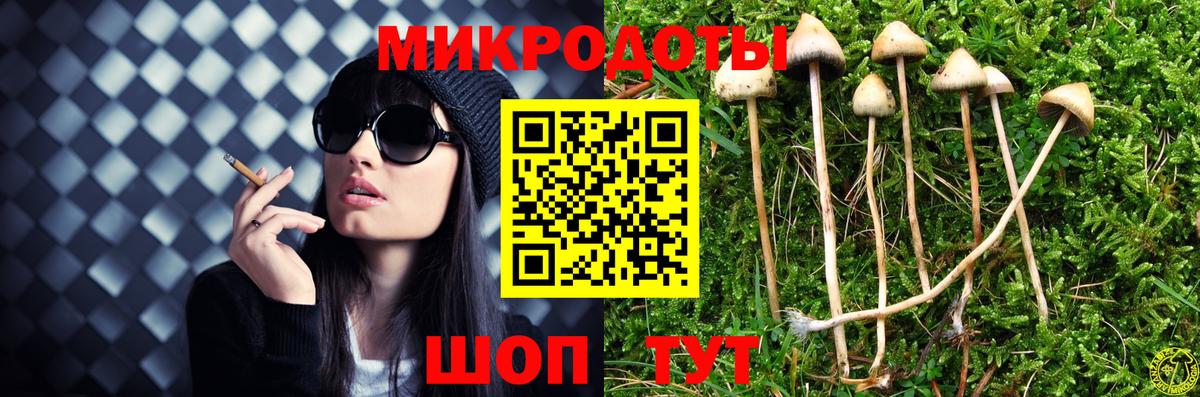 Азов  продажа наркотиков  Вход с VPN  Галлюциногенные грибы прущие грибы 