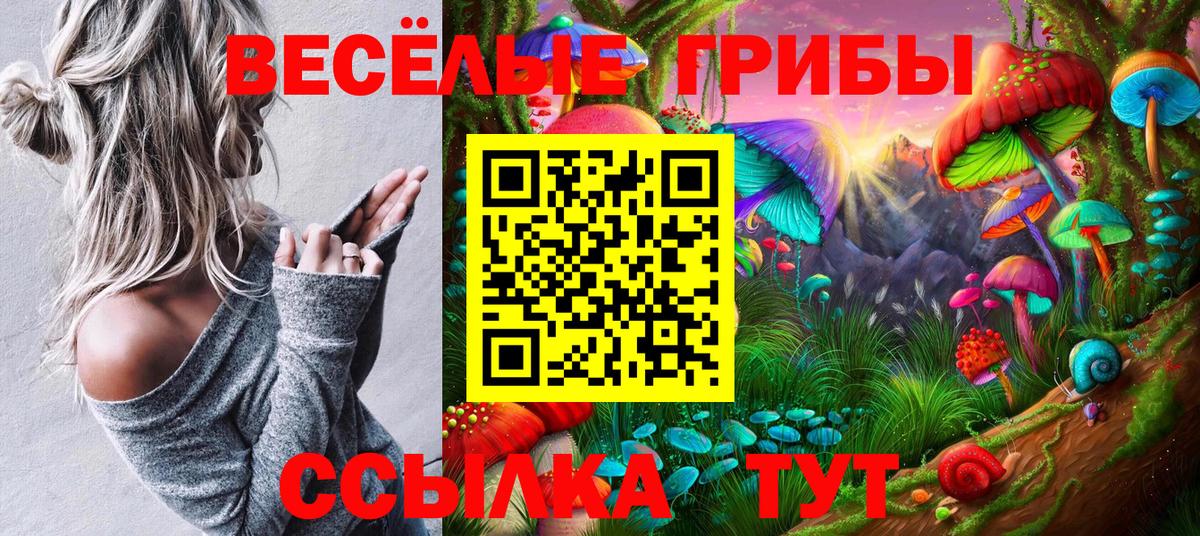 Галлюциногенные грибы Cubensis Азов